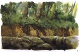 BUY NEW spirited away - 92523 Premium Anime Print Poster